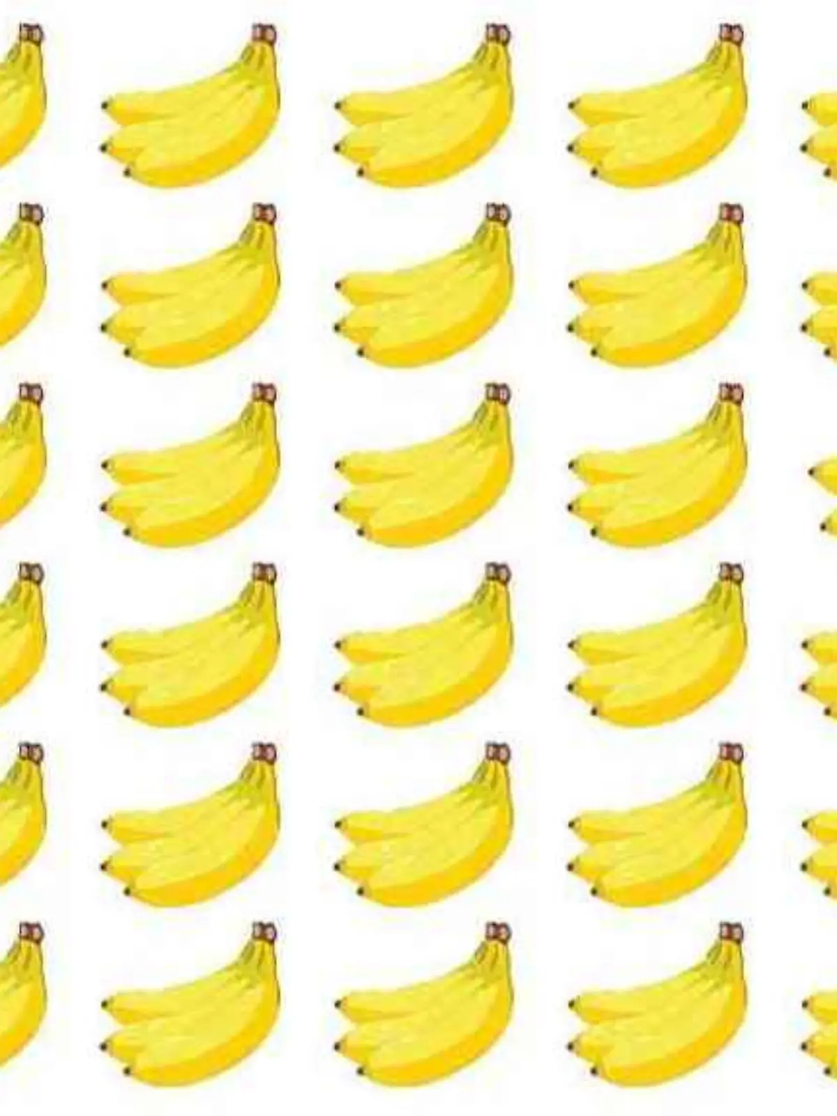 Suchbild Bananen