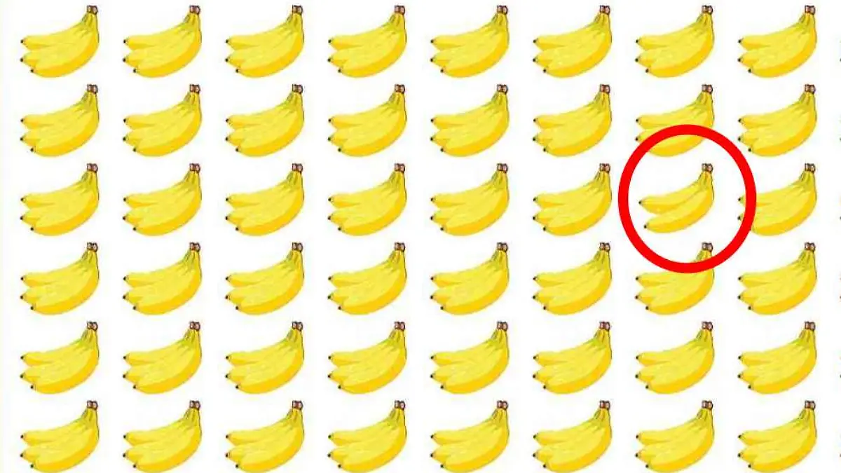 Auflösung Suchbild Bananen