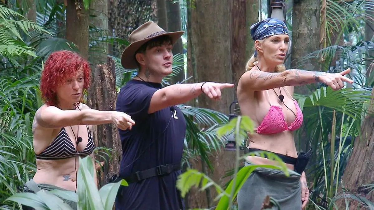 Lucy, Tim und Sarah haben 2024 im Dschungelcamp besonders viel getanzt und gesungen.