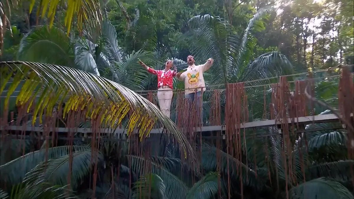 bild - 2024-08-08T155658.187.jpg