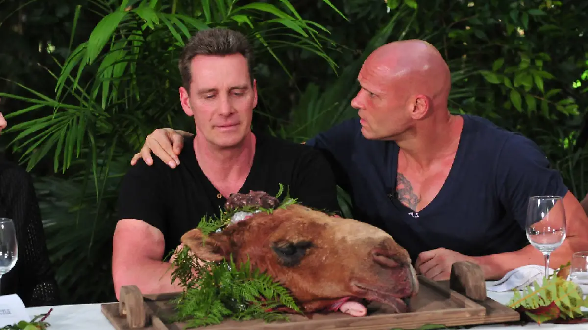 Jürgen Milski muss ein halbes Kamelhirn essen