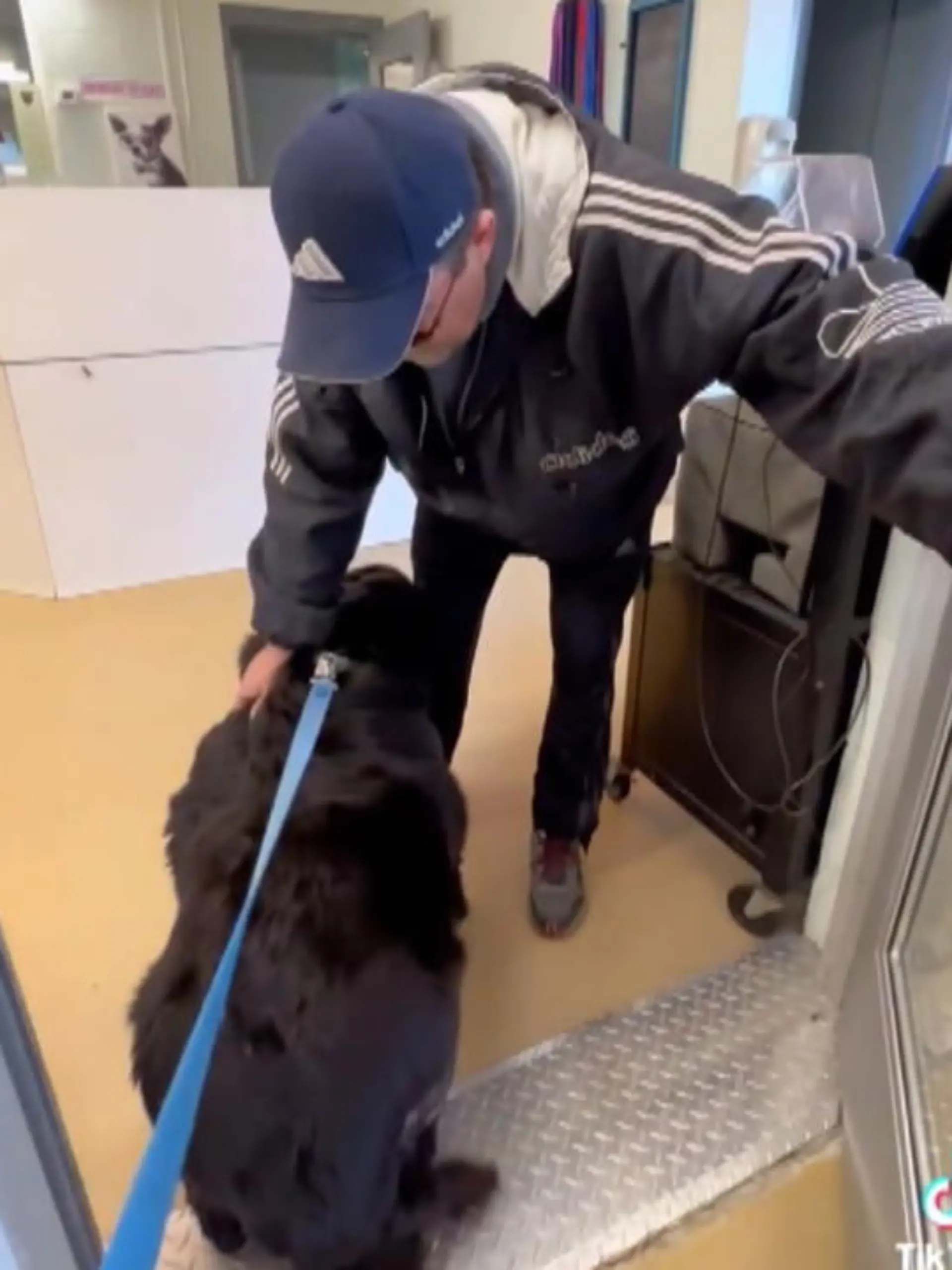 Joe Kay ist ein großer, starker Mann aus Ohio in den USA – doch mit seinen Videos rührt er Hunderttausende TikTok-Nutzer zu Tränen. Er arbeitet als Adoptionshelfer in einem Tierheim. Dabei filmt er die Momente, in denen Hunde das erste Mal mit ihren neuen Haltern nach Hause gehen dürfen.