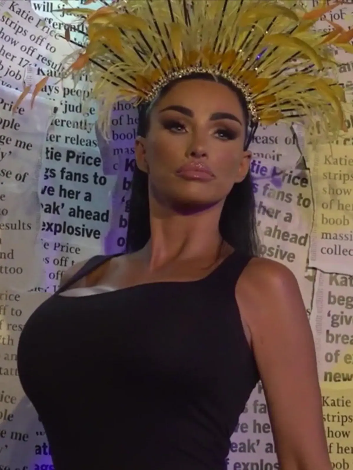 Bild zu: "Katie Price am Flughafen verhaftet"