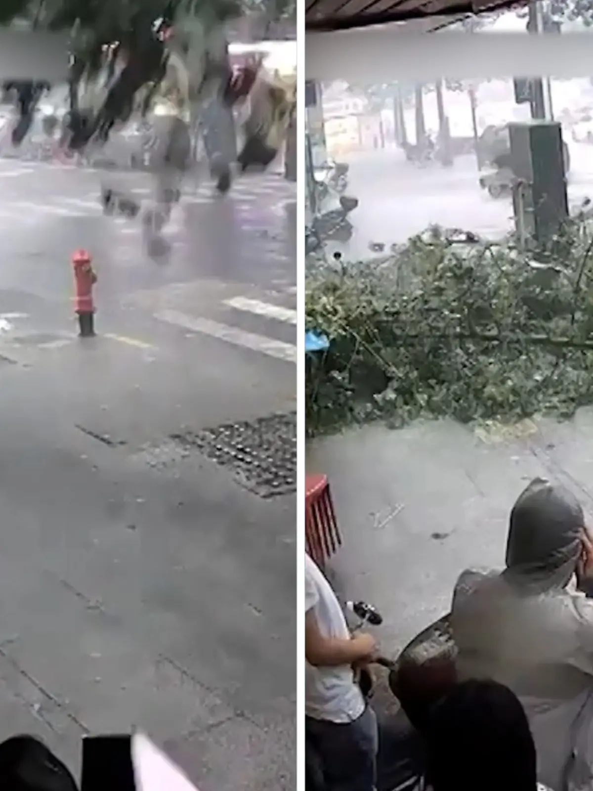 Bild zu: "Baum kracht auf Frau - ihr Regenschirm wird zum Schutzschild"