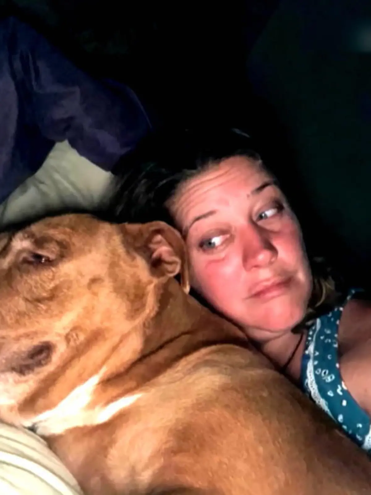 Nein, dieser Hund gehört definitiv nicht zu Josh und Julie Johnsonson. Die beiden wachen morgens auf und finden einen fremden Welpen in ihrem Ehebett. Die süße Nala war von Zuhause ausgebüxt, offenbar auf der Suche nach neuen Freunden.