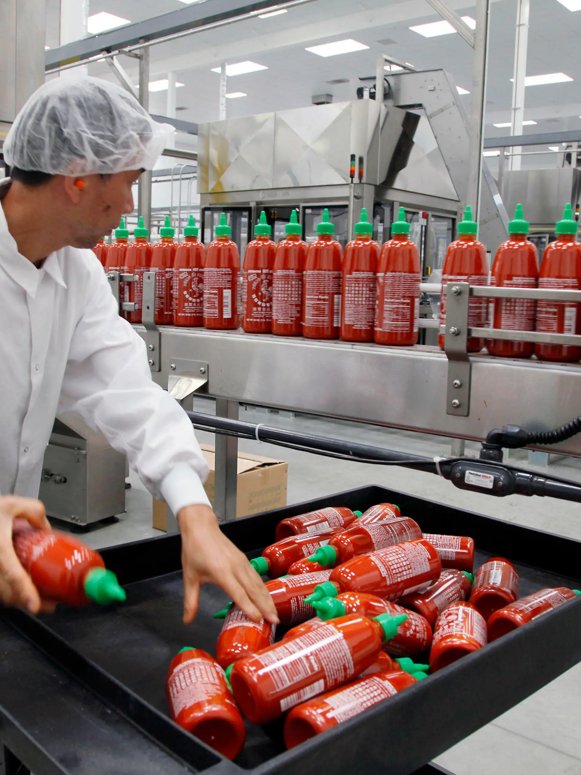 FILE - In this Oct 29, 2013 photo, Sriracha chili sauce is produced at the Huy Fong Foods factory in Irwindale, Calif. Bottles of the popular Sriracha hot sauce could be hard to find on store shelves this summer. Southern California-based Huy Fong Inc., told customers in an email earlier this year that it would suspend sales of its famous spicy sauce over the summer due to a shortage of chili peppers. (AP Photo/Nick Ut, File)