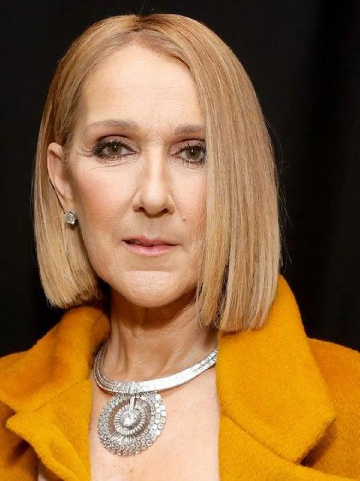 Song geklaut? Darum teilt Céline Dion gegen Donald Trump aus