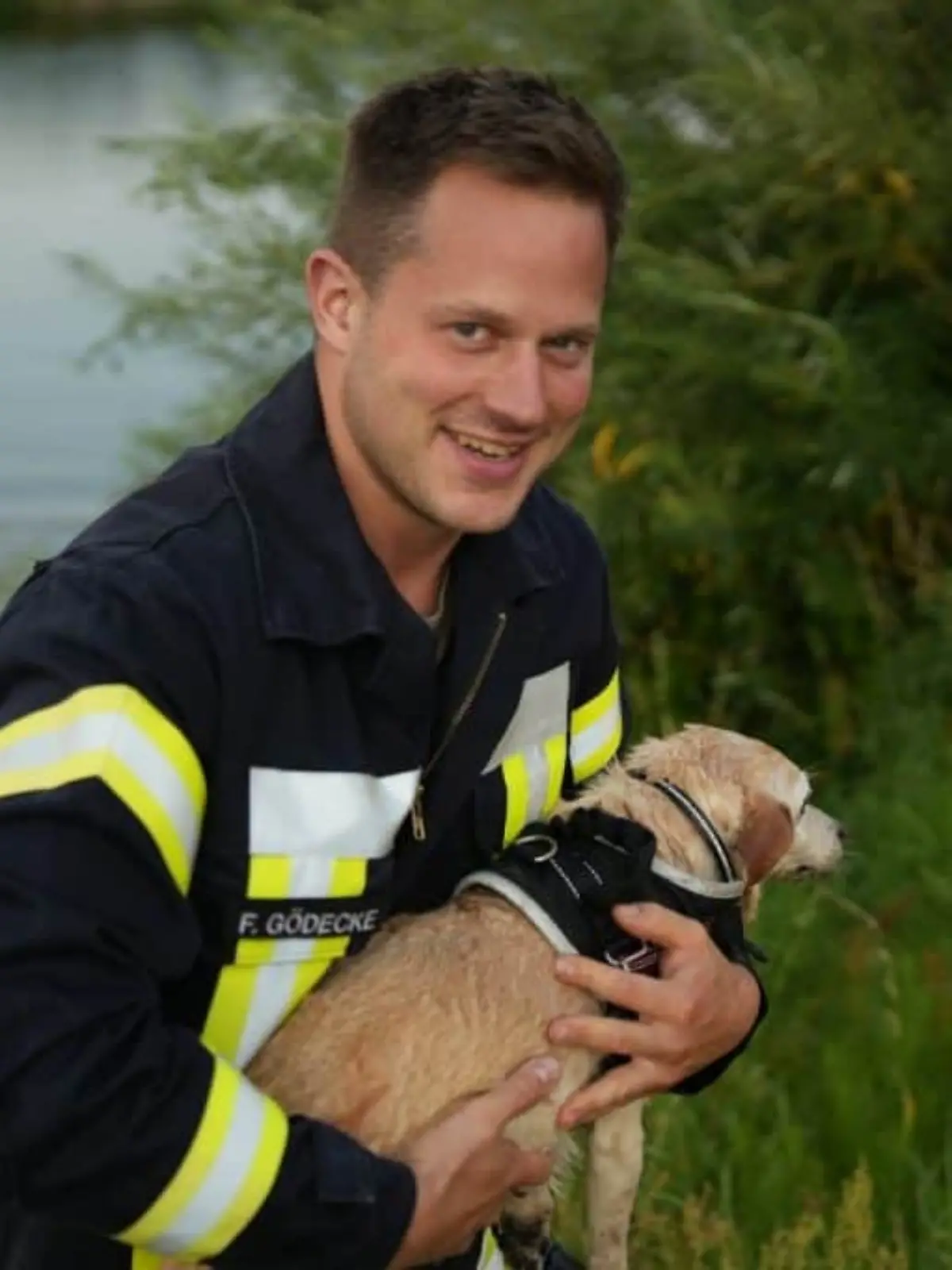 Bild zu: "Feuerwehrmann rettet Hunde-Omi aus Hafenbecken"