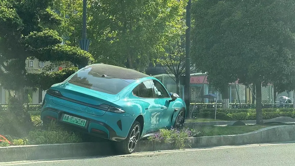 Diese Fahrt endet im Blumenbeet. 