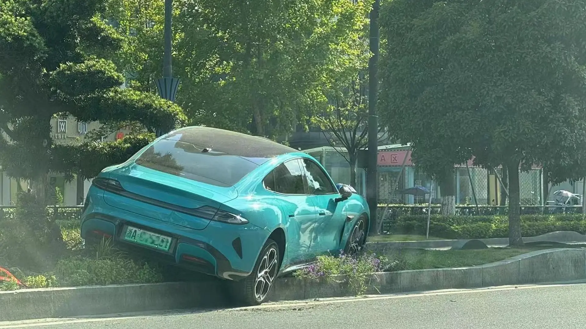 Diese Fahrt endet im Blumenbeet.