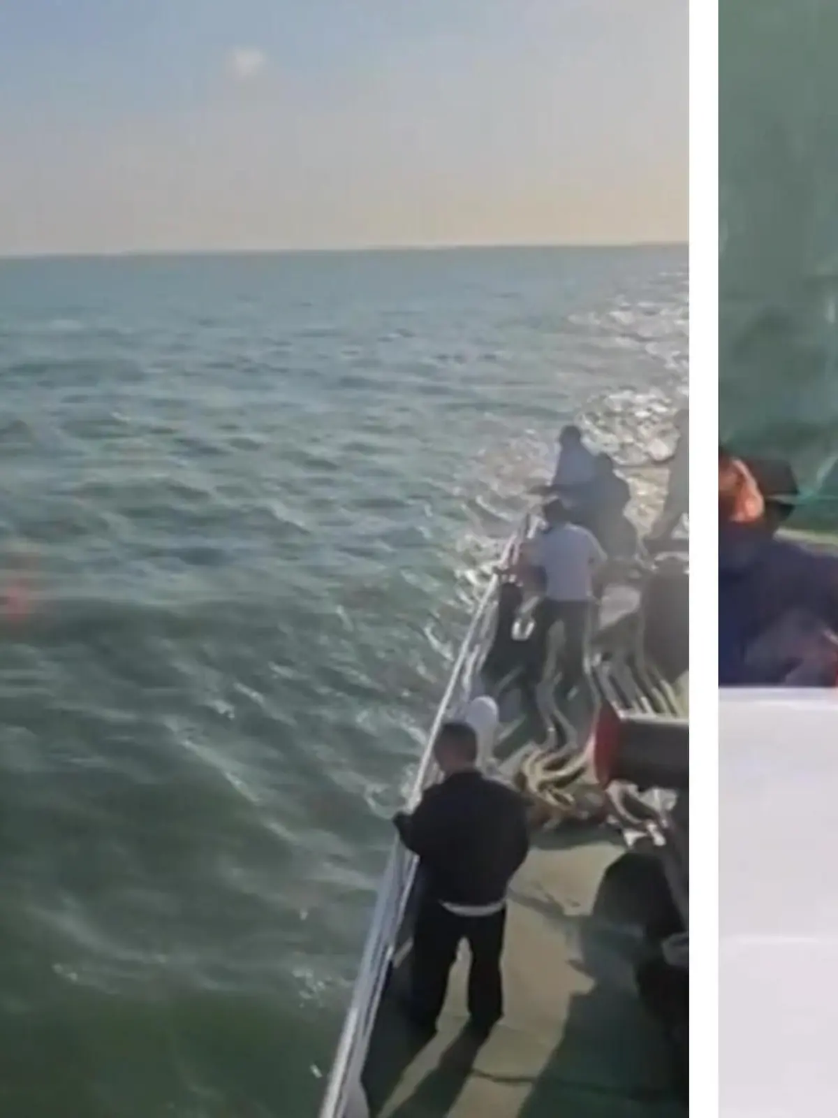Bild zu: "Mann fällt von Kreuzfahrtschiff! Crew und Passagiere eilen zur Hilfe"