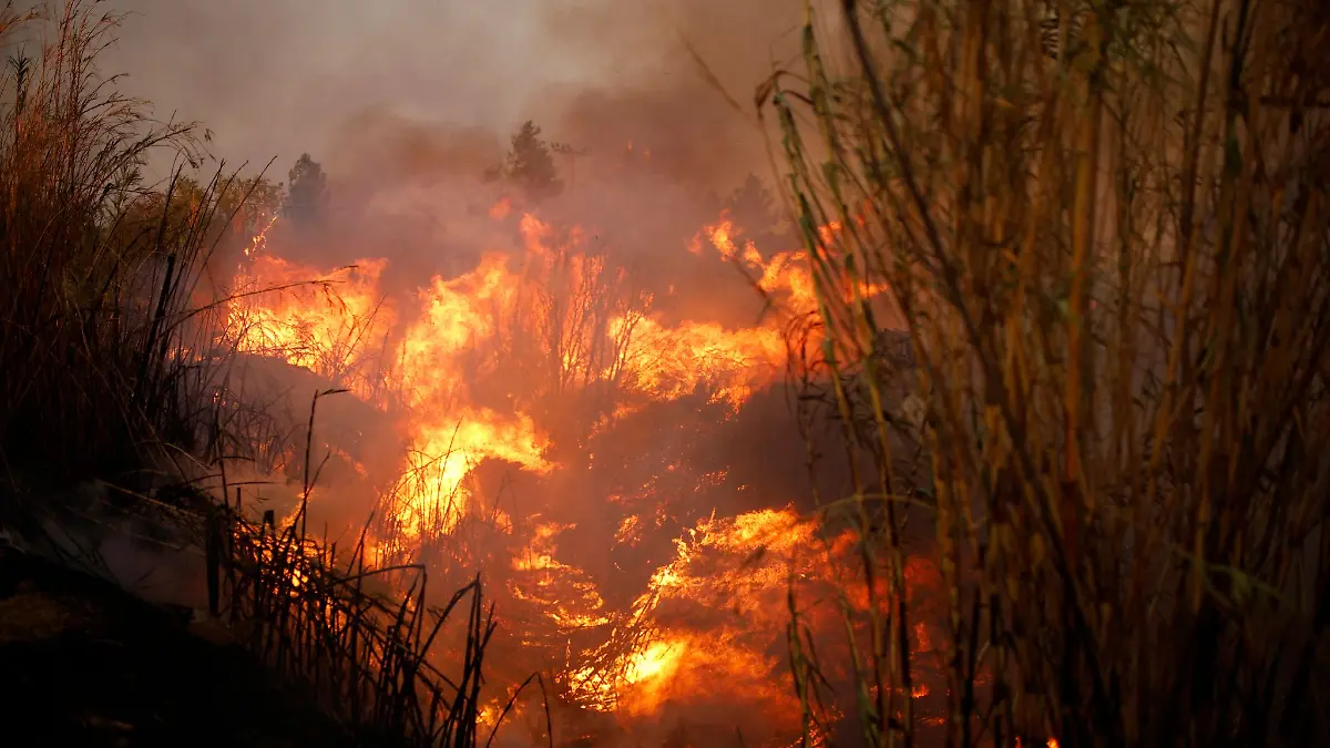 Der größte Waldbrand des Jahres ist gefährlich nah an die Hauptstadt Athen herangerückt.