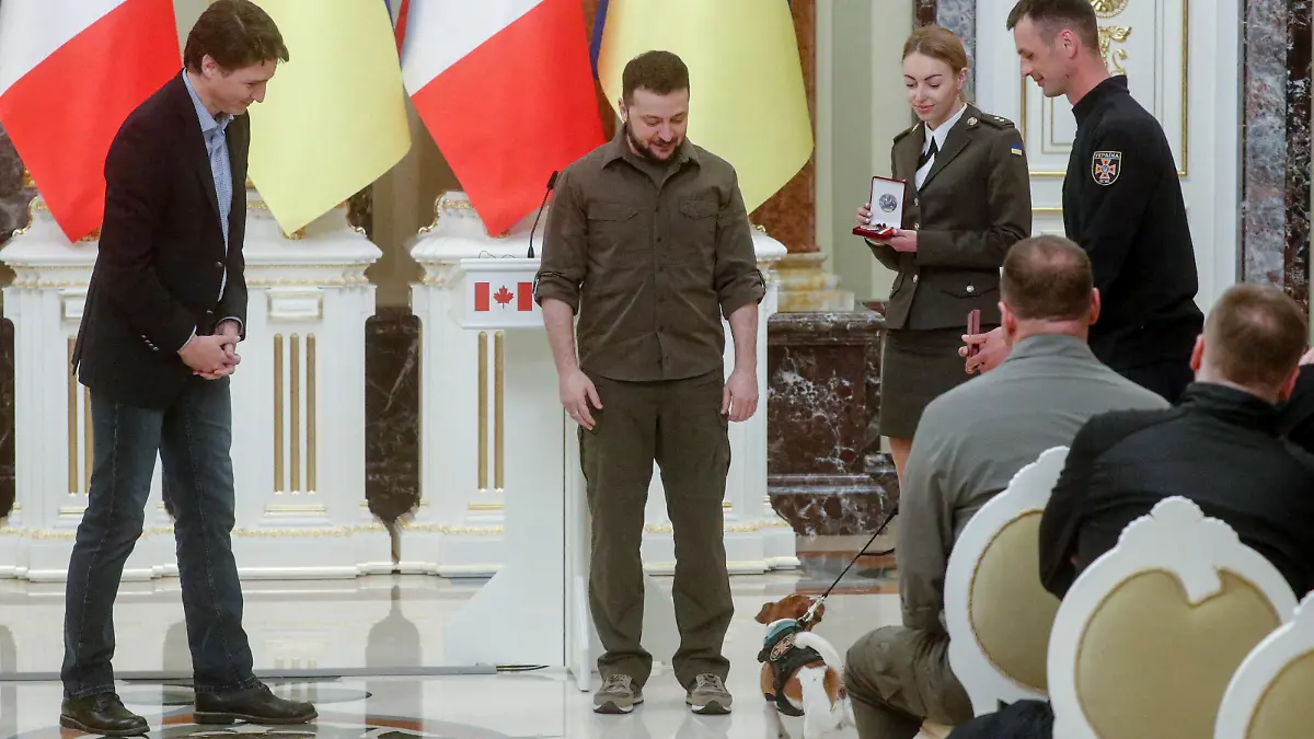 Canadian Prime Minister Justin Trudeau and Ukraine's President Volodymyr Zelenskiy award service dog "Patron" during a news conference, as Russia's attack on Ukraine continues, in Kyiv, Ukraine May 8, 2022. REUTERS/Valentyn Ogirenko TPX IMAGES OF THE DAY