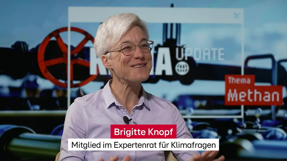 Klimagas Methan: Wie kriegen wir das aus der Welt? Klimawissenschaftlerin Brigitte Knopf