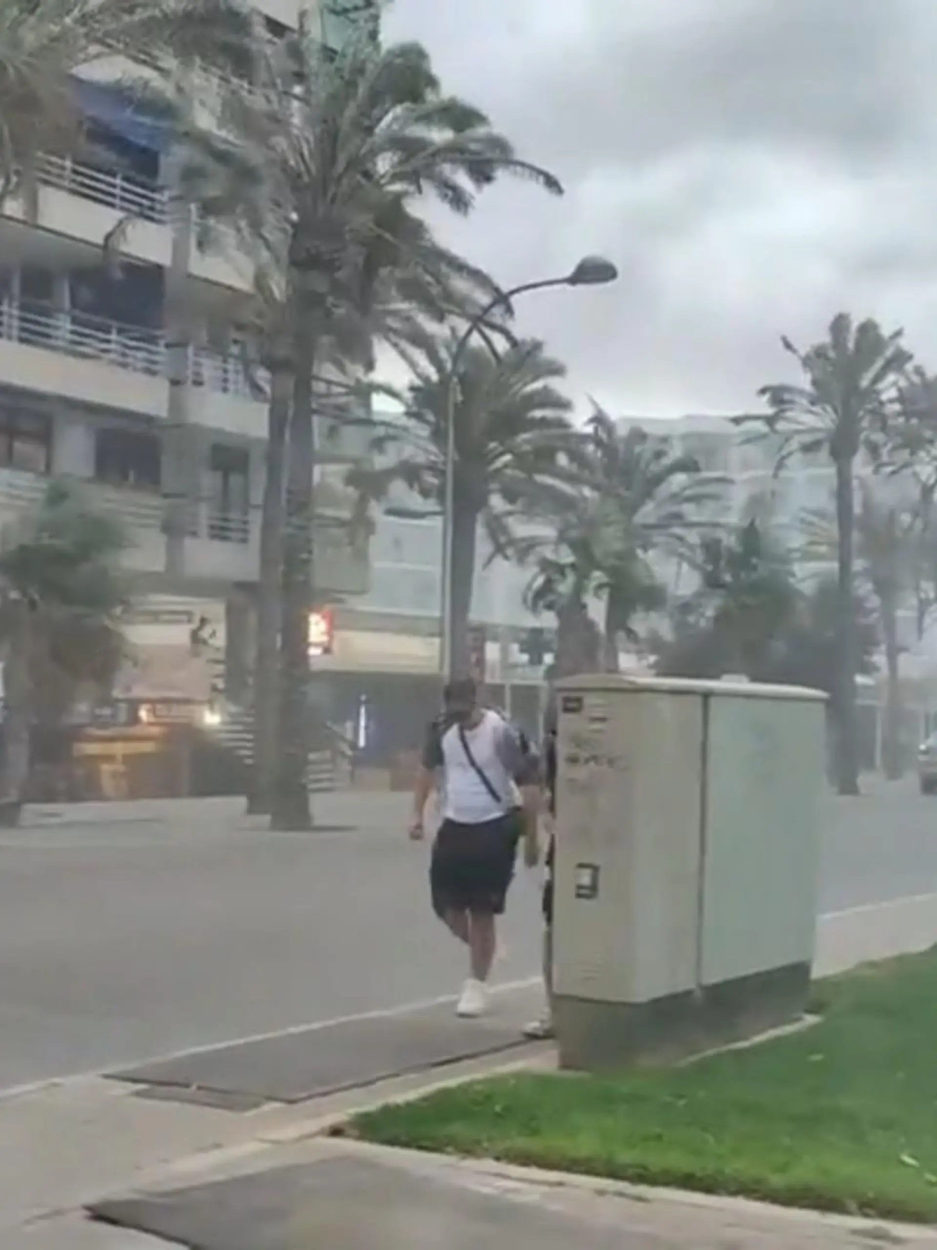 Bild zu: "Unwetter fegt Urlaubsstimmung auf Mallorca weg "