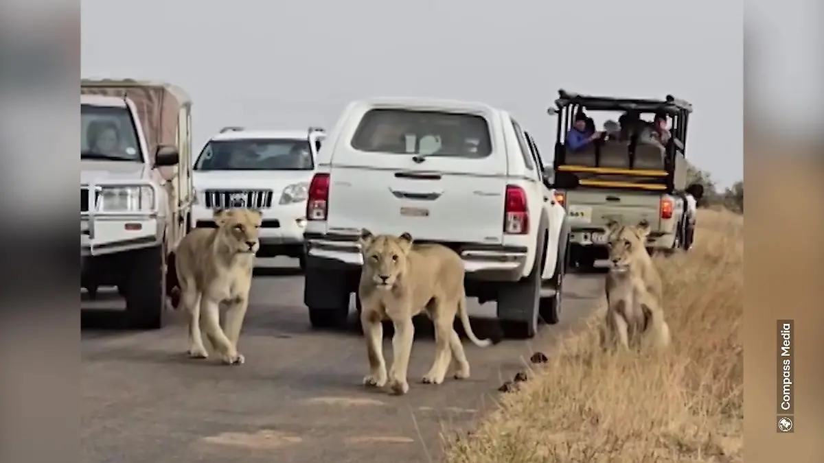 Deutschem Touri FAHREN die Nerven durch!
