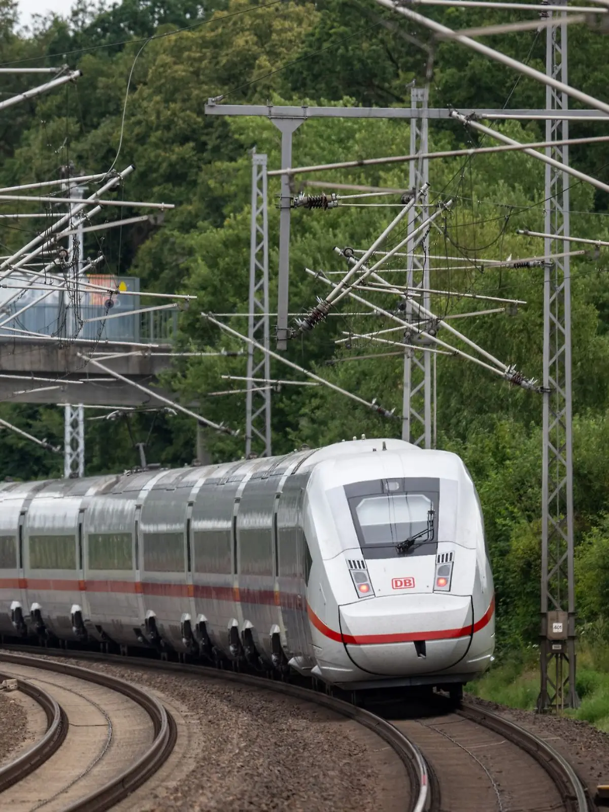 Bild zu: "Hund raus, Zug weg! Urlauberin strandet auf freier Strecke"