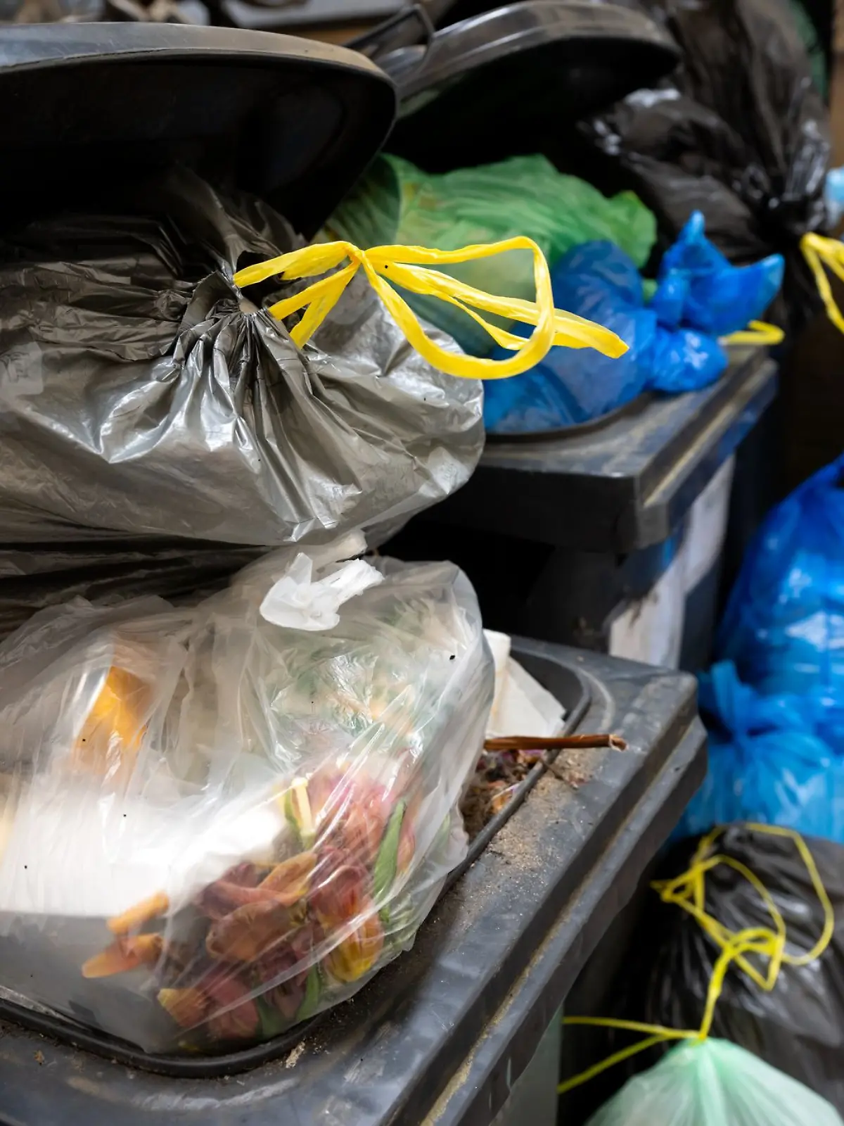 Bild zu: "Das darf jetzt nicht mehr in der Restmüll-Tonne landen "