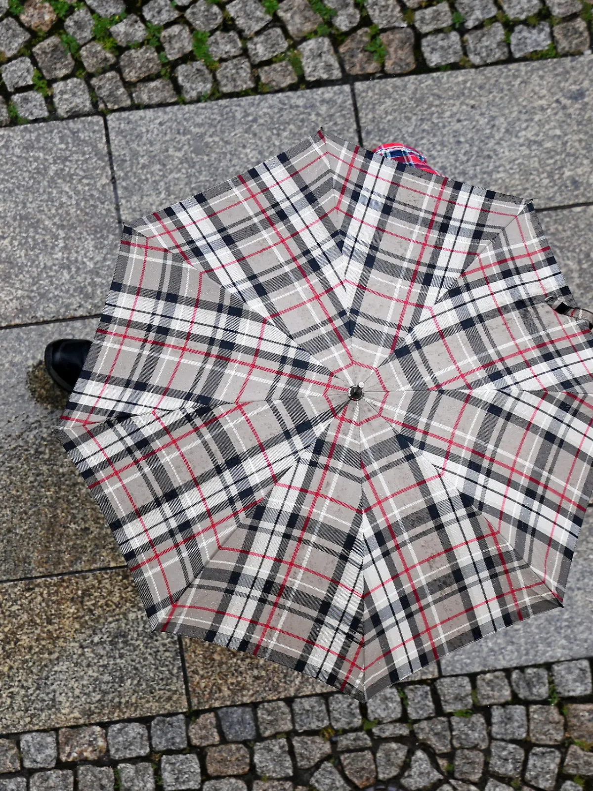 26.07.2024, Thüringen, Erfurt: Ein Mann mit Regenschirm läuft die Johannesstraße in der Erfurter Altstadt entlang. Der Start ins Wochenende wird ungemütlich nass und grau. Der Deutsche Wetterdienst (DWD) warnt für Thüringen in den nächsten Tagen vor kräftigen Gewittern, Starkregen bis zu 50 Litern pro Quadratmeter sowie Hagel. Foto: Martin Schutt/dpa +++ dpa-Bildfunk +++