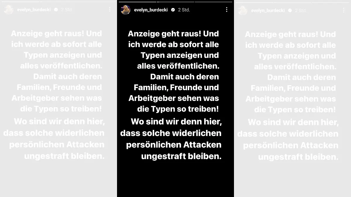 Evelyn Burdecki möchte die Männer, die ihr solche Fotos schicken, nicht einfach so davonkommen lassen.