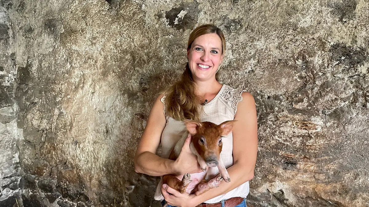 Kraftmacher-Drink macht Schweinchen Rudi wieder munter