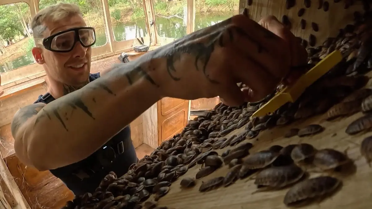 Wer muss in die nächste Prüfung?