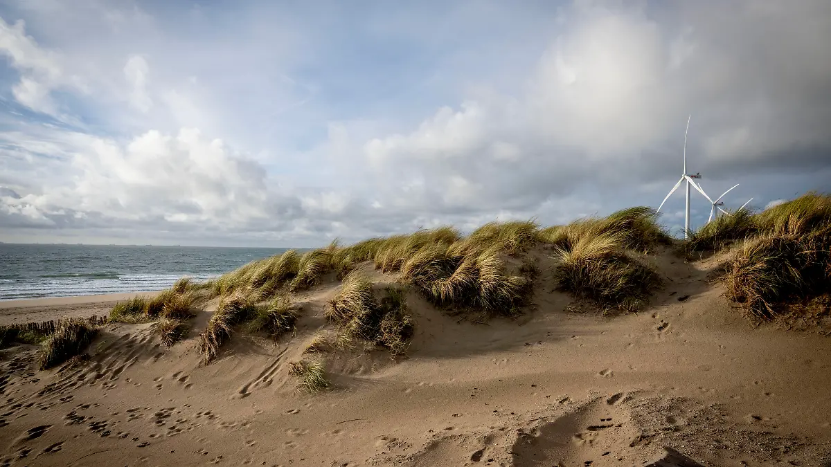 Die Maasvlakte im Rotterdamer Hafenbereich 