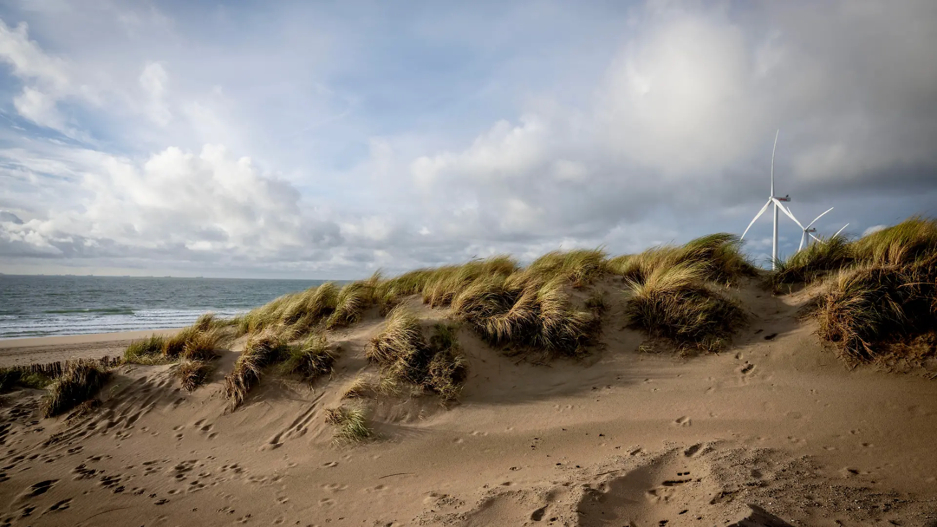 Die Maasvlakte im Rotterdamer Hafenbereich