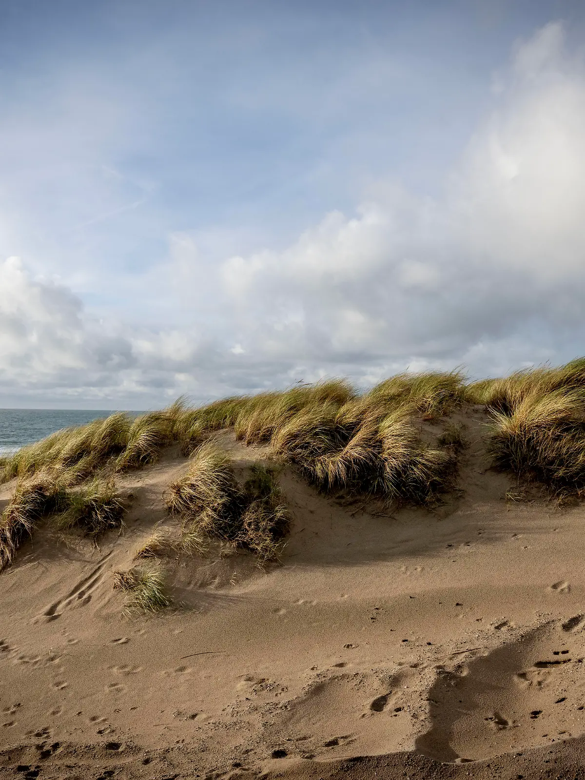 Die Maasvlakte im Rotterdamer Hafenbereich 