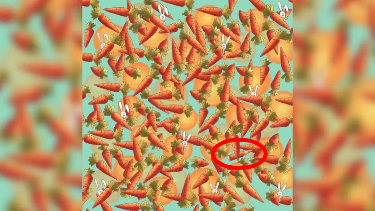 Auflösung Suchbild Möhrchen + Stift