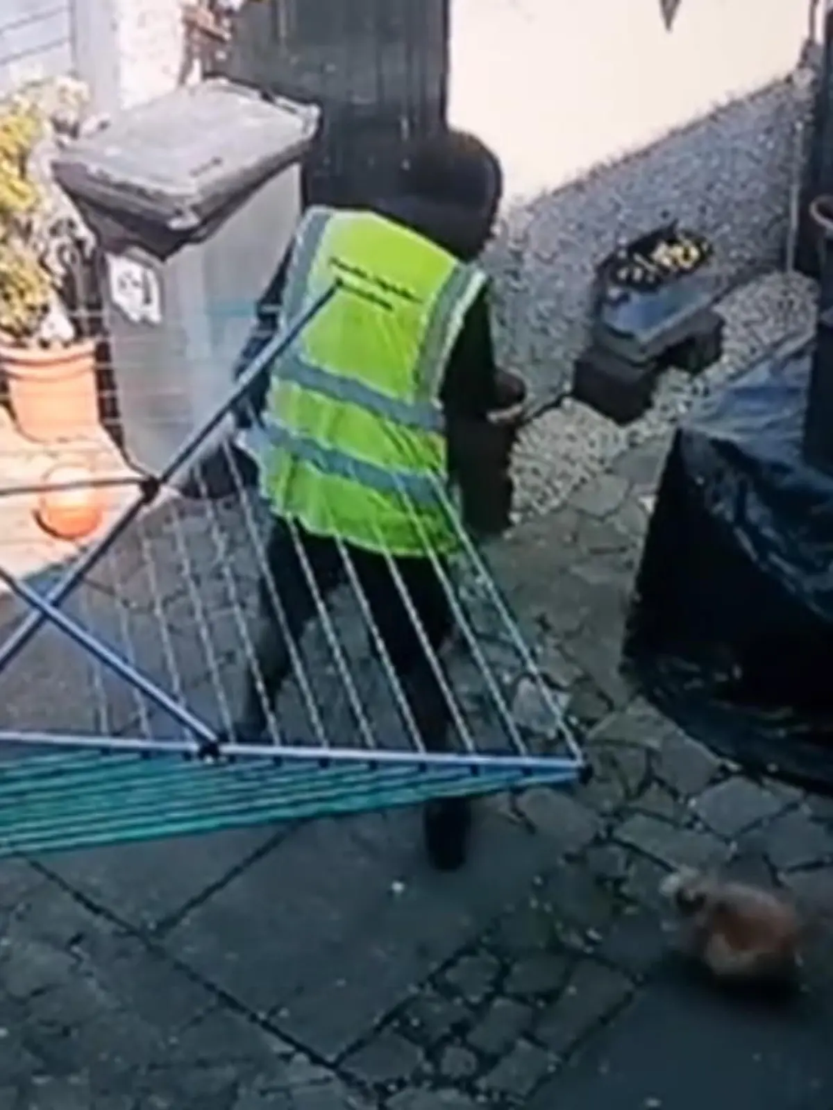 Wer wünscht sich noch einen Wachhund, wenn man auch ein Wachkaninchen haben kann? Dieses flauschige Langohr macht einem Postboten das Leben zumindest ganz schön schwer - dabei möchte dieser doch nur ein Päckchen ausliefern. Mehr dazu im Video.