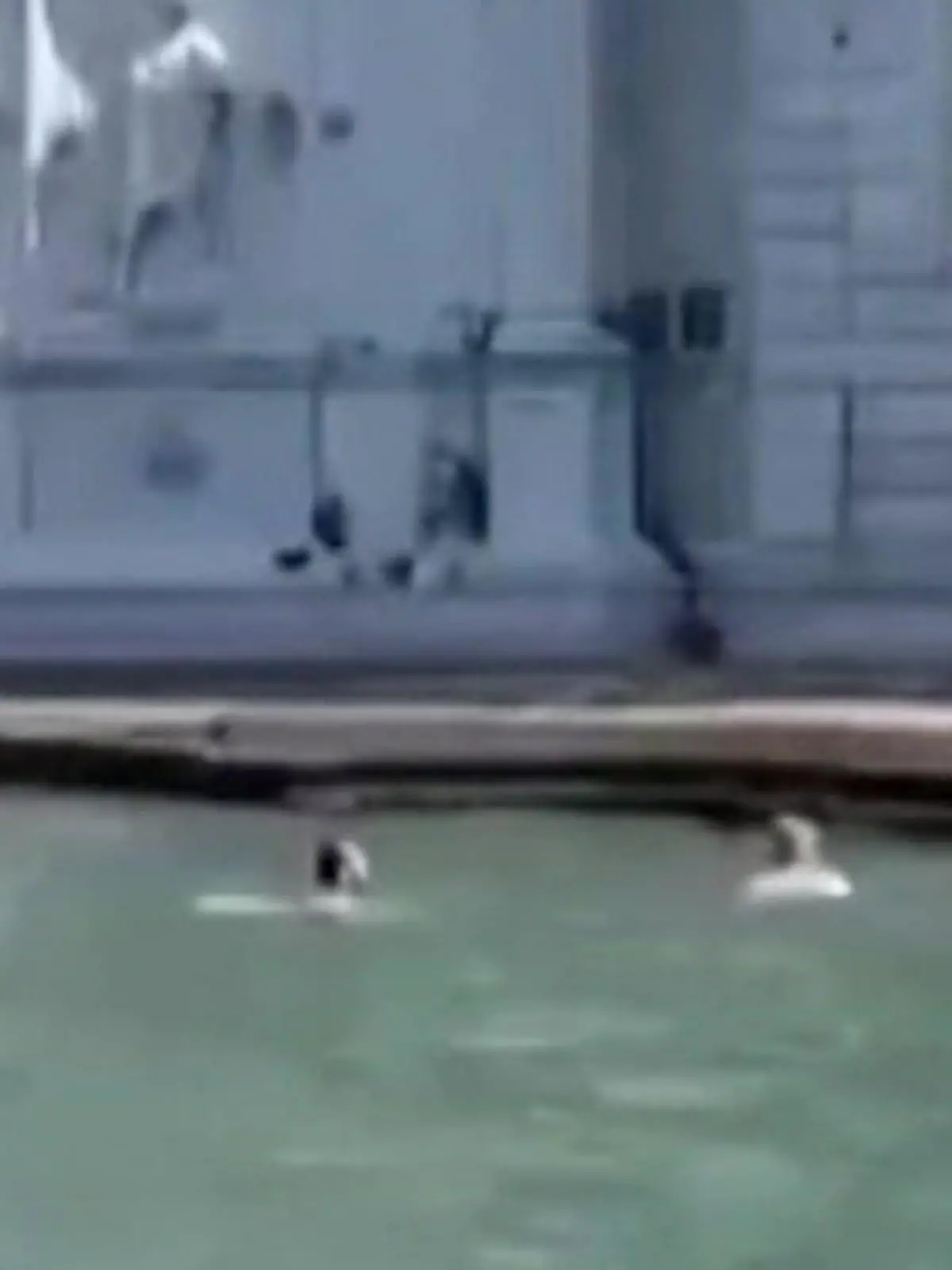 Bild zu: "Geschmacklos und illegal! Touris schwimmen vor Friedhof"