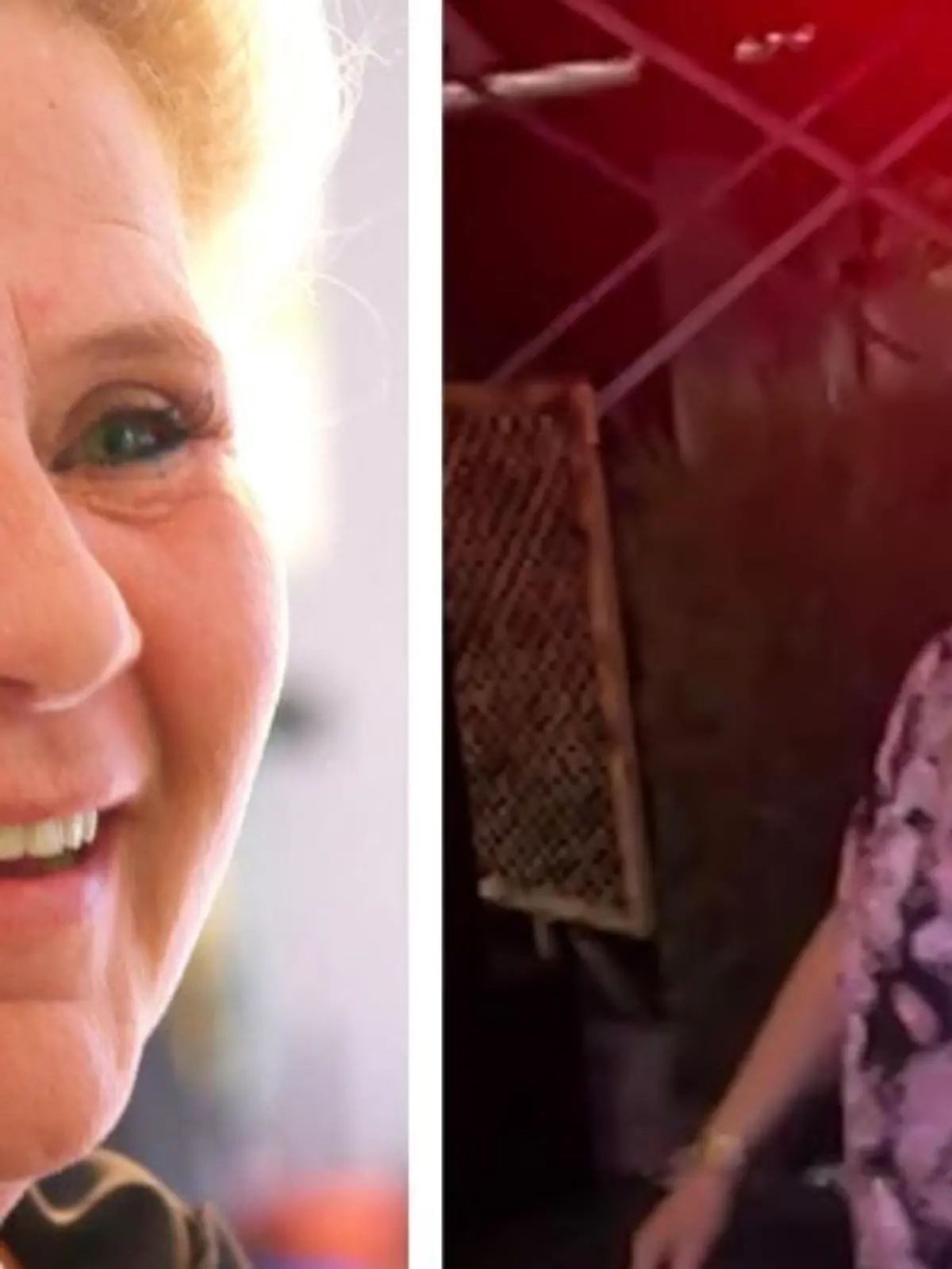 Bild zu: "Hier wird Silvia Wollny zur absoluten Partykanone"