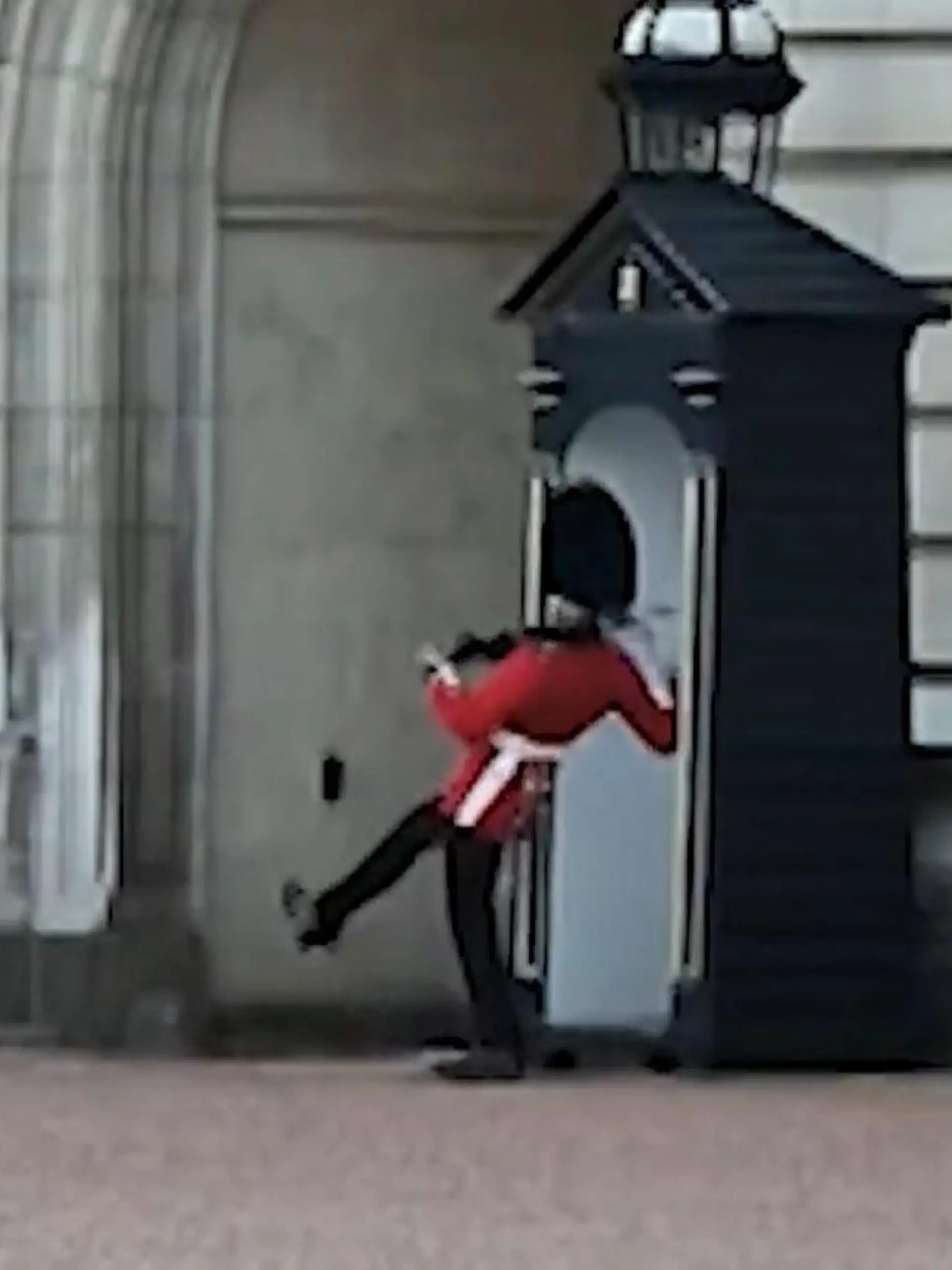 Royale Wache fällt vor dem Buckingham Palace hin