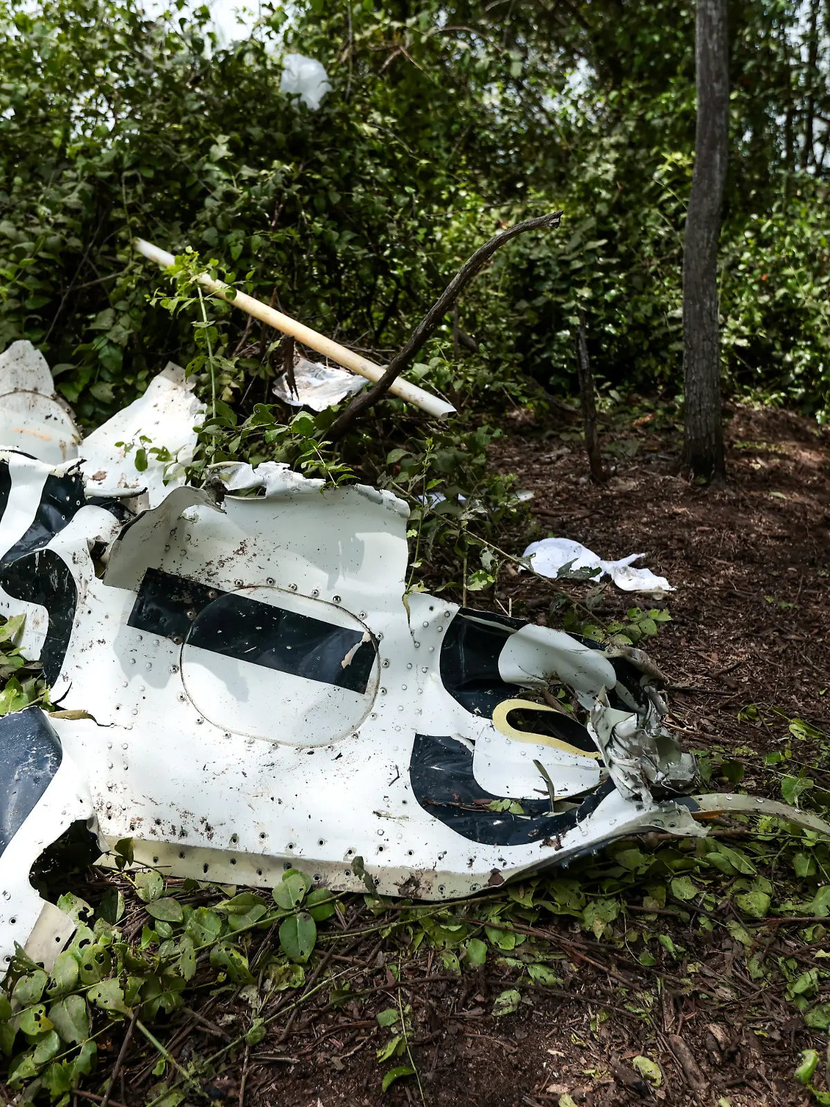 Rescue workers search the wreckage of a small aircraft a day after it crashed as five tourists from China and four Thais, including the two pilots, all presumed dead, in Bang Pakong, Chachoengsao province, Thailand, August 23, 2024.