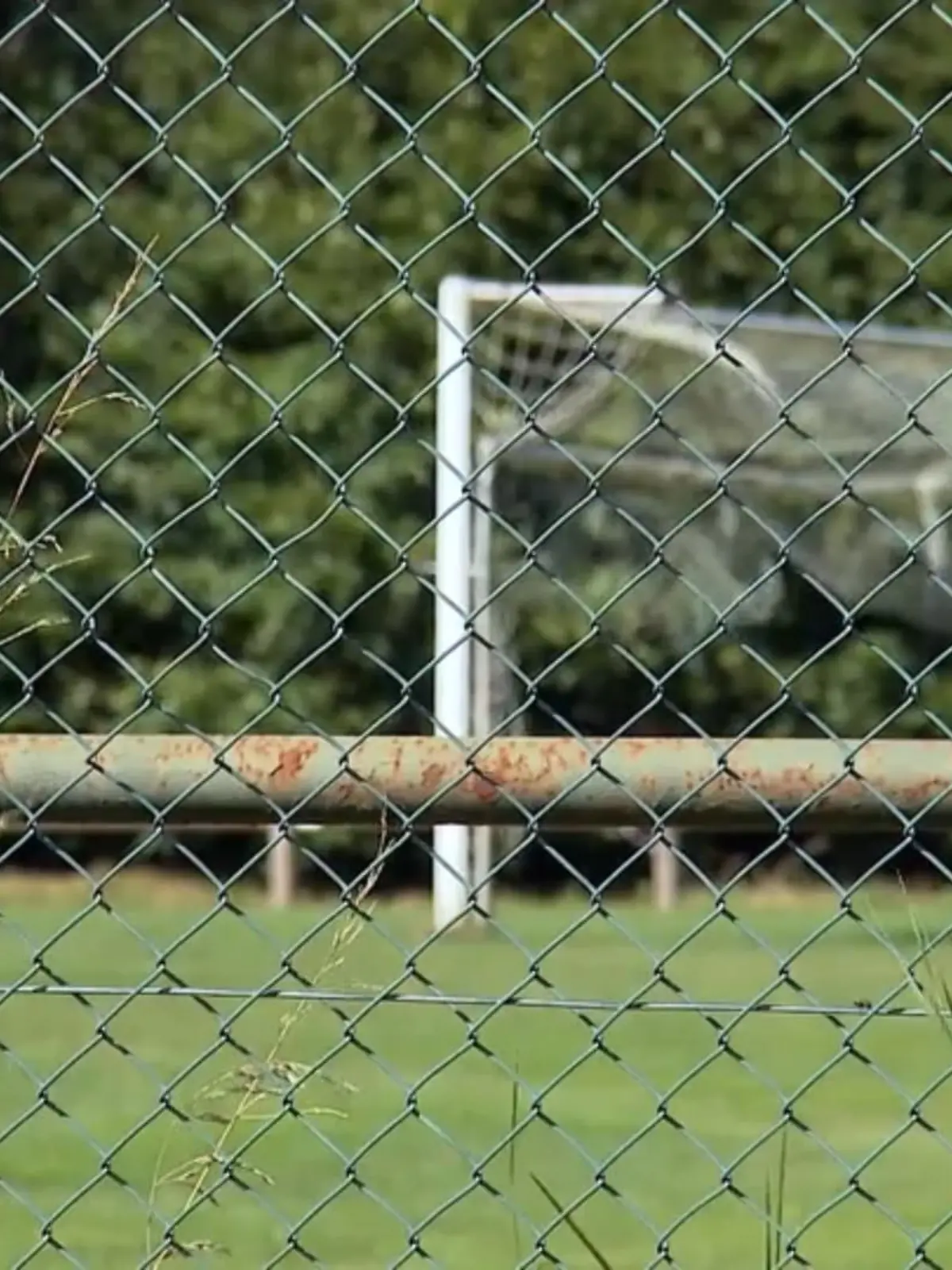 Bild zu: "Fußball-Prügel vor Gericht "