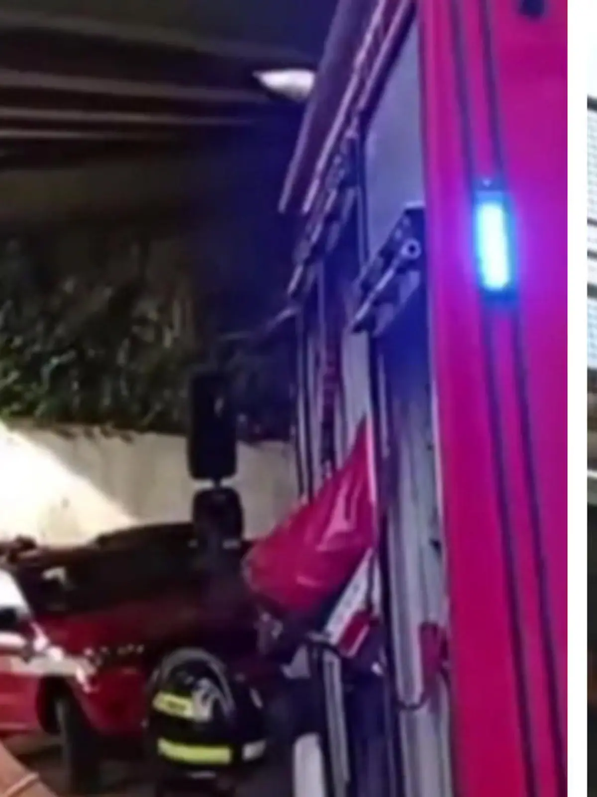 In der italienischen Provinz Forli-Cesena verirrt sich ein Hund auf eine Autobahn-Überführung und kann sich vor Schock nicht mehr bewegen. Die dramatischen Bilder seht ihr im Video.