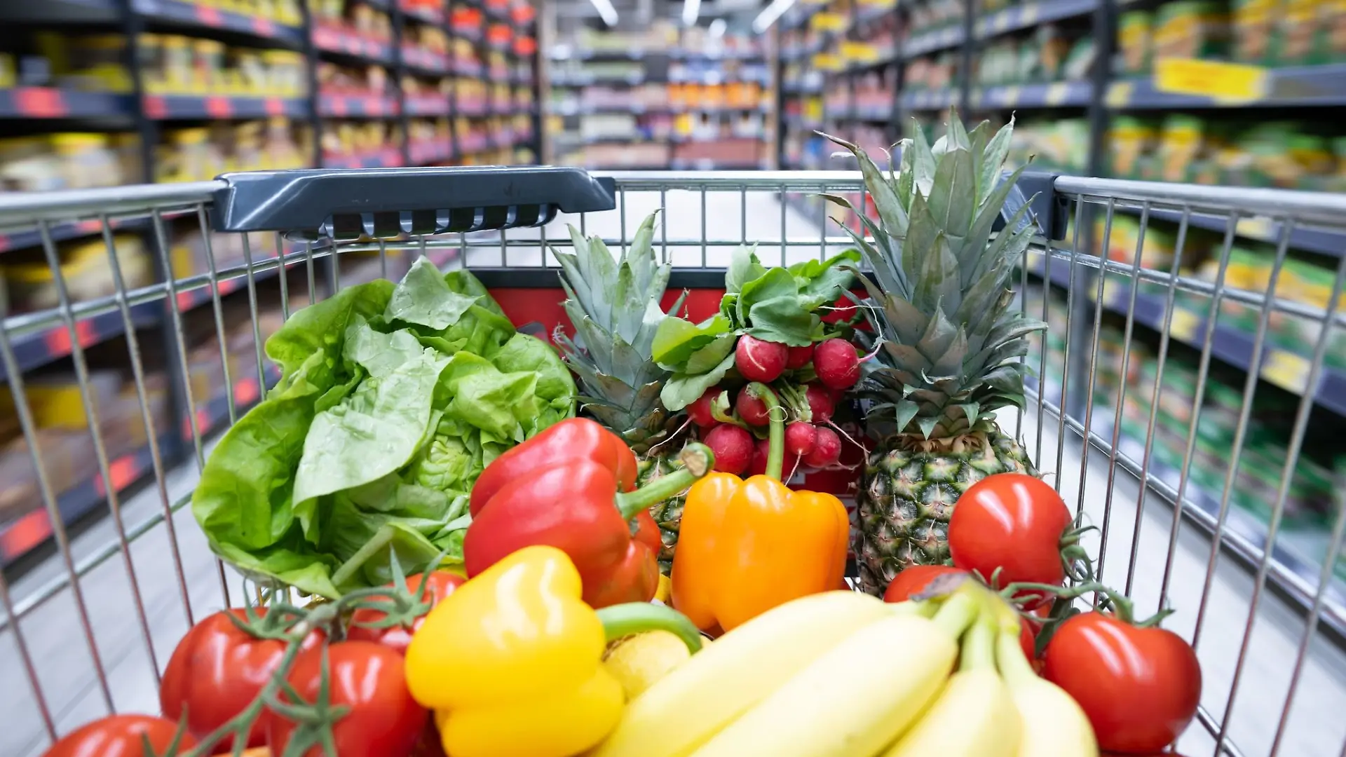 Einkaufswagen mit Obst und Gemüse. 