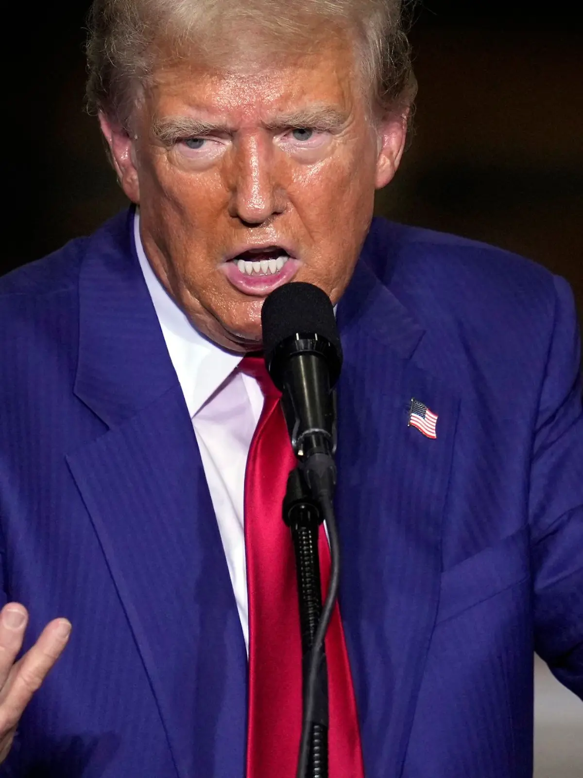 Bild zu: "Trump will künstliche Befruchtung kostenlos machen"