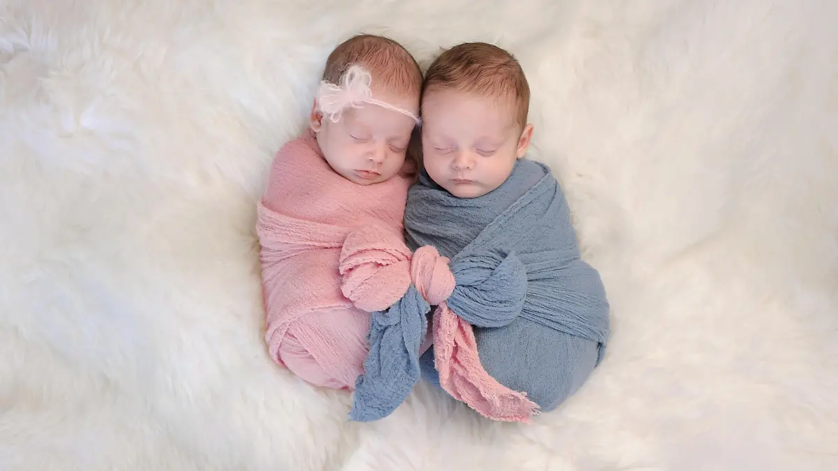 Two month old, boy and girl fraternal twin babies. They are sleeping and swaddled together in pink and blue wraps that are tied together in a bow.