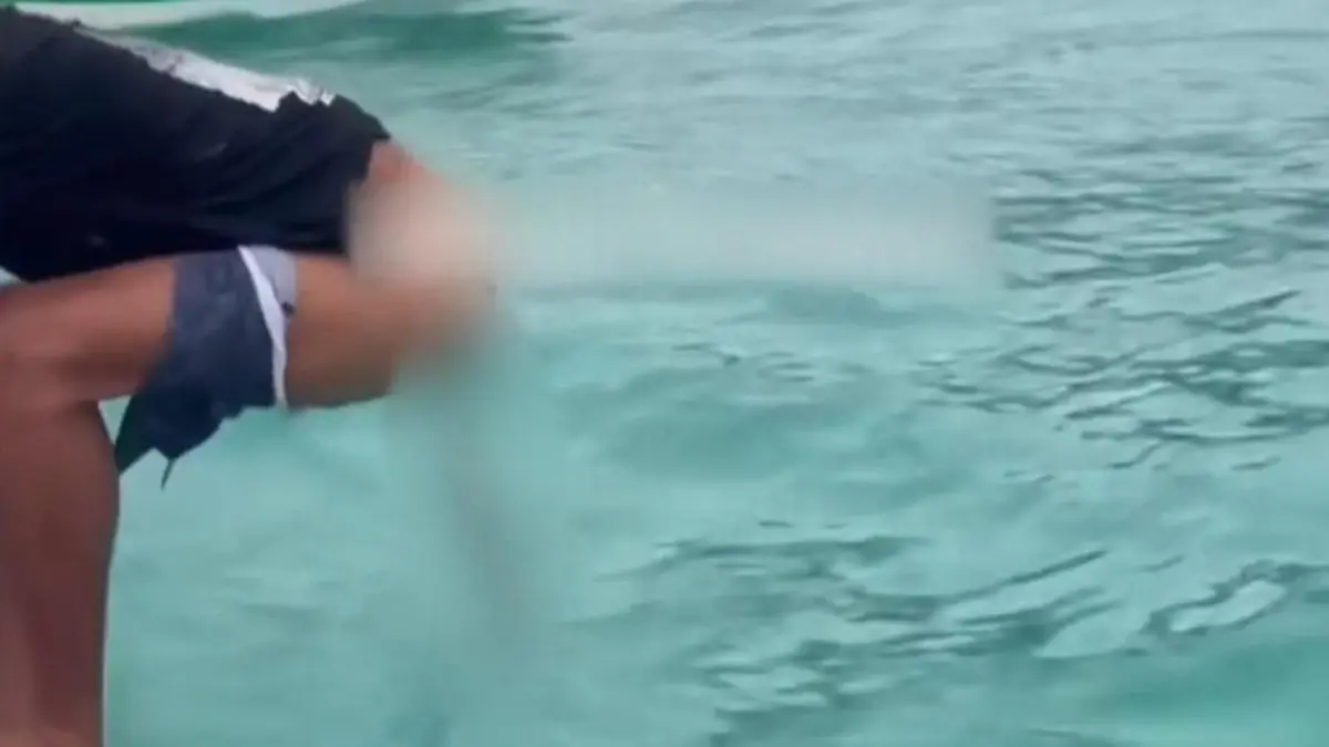 Man does his business in the sea and gets shitstorm food for the fish?