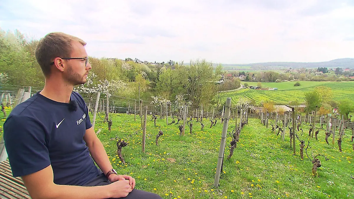 Weinbergpächter Simon (23)