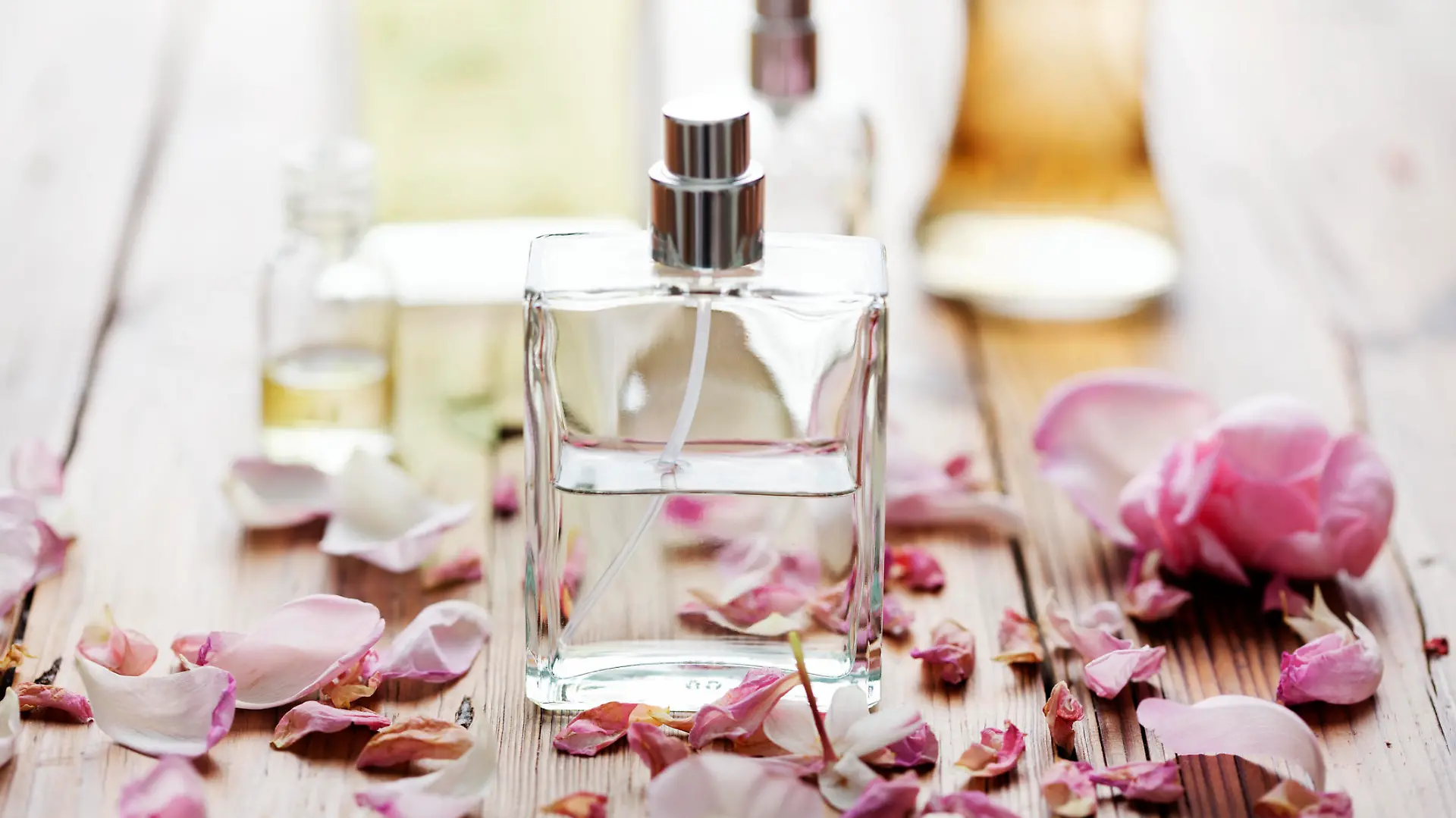selection of perfume bottles surrounded by flower petals