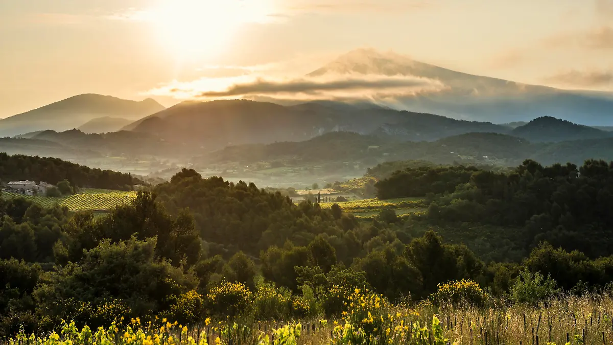 Sonnenaufgang am Mont Ventoux in der Provence