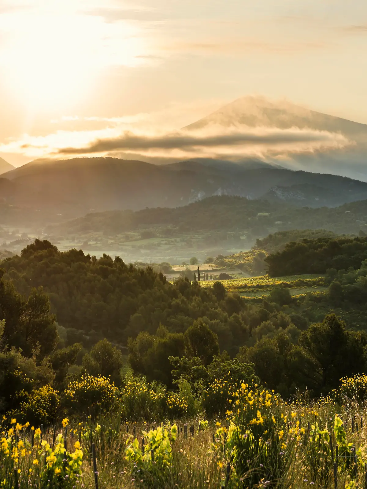 Sonnenaufgang am Mont Ventoux in der Provence