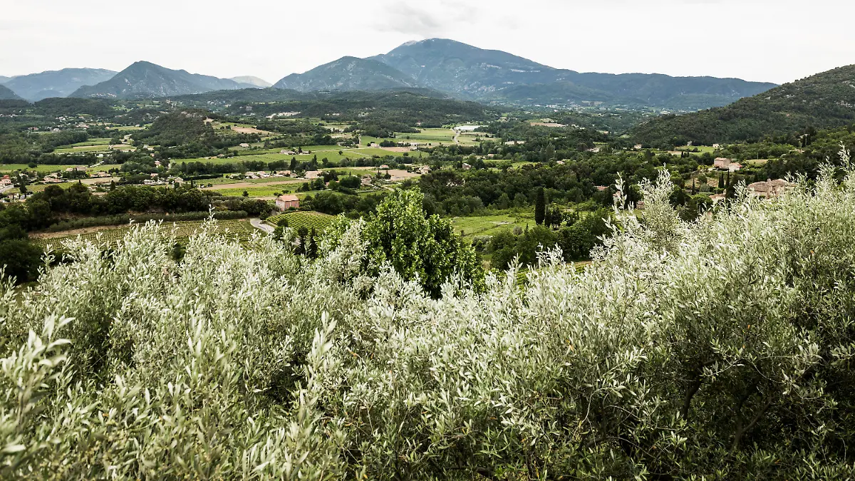 Blick auf den Mont Ventoux in Frankreich