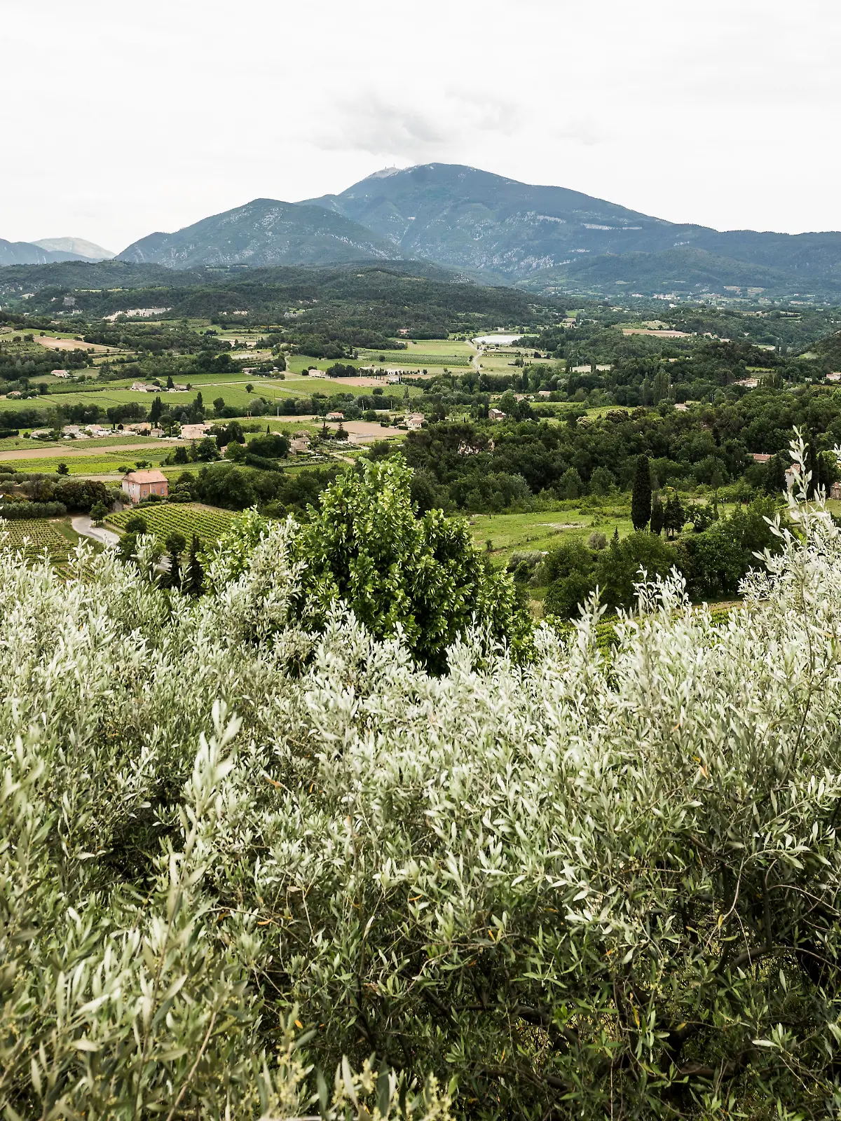 Blick auf den Mont Ventoux in Frankreich