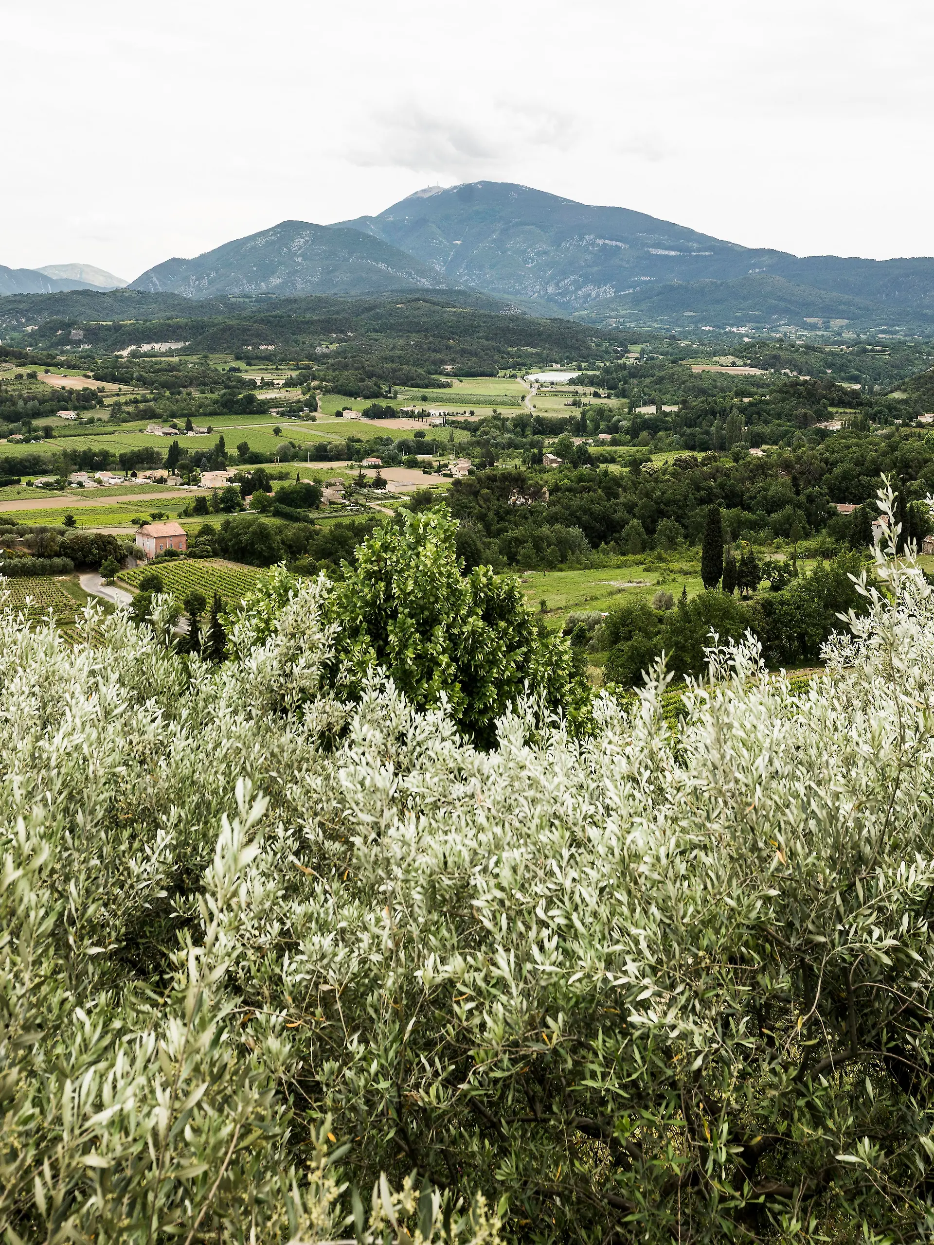 Blick auf den Mont Ventoux in Frankreich