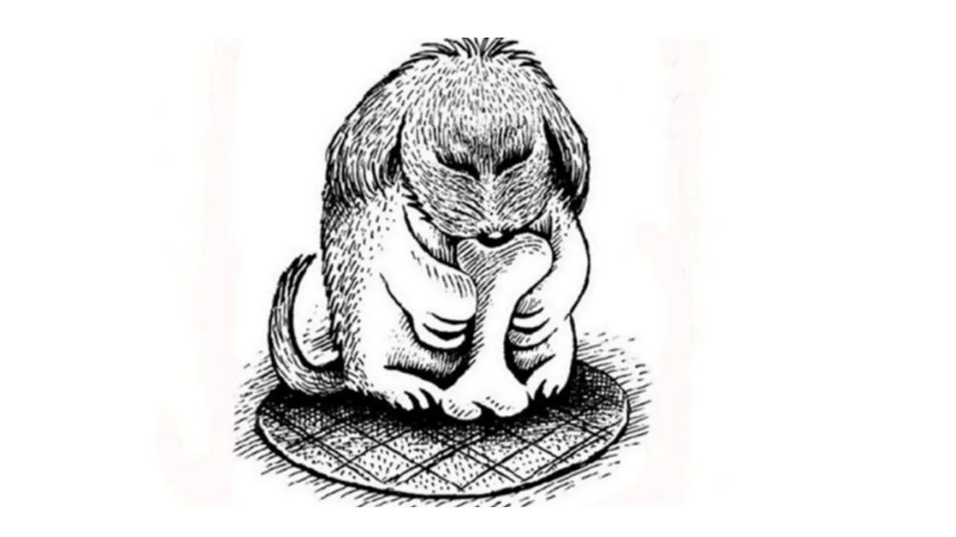 Auf dem Kopf gedreht, wird aus dem Mann ein Hund mit Knochen.