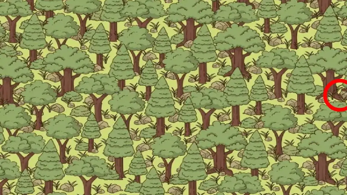Auflösung Suchbild Igel